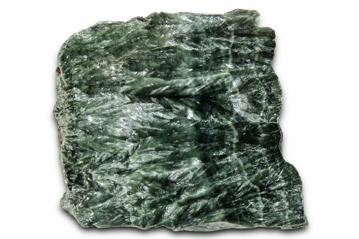 Polished Seraphinite Slab - Korshunovkiy Mine, Siberia #354289